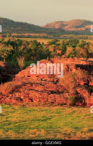 Les grands pics rocheux d'Ubirr baigné de lumière au coucher du soleil. Le Kakadu National Park, Territoire du Nord, Australie Banque D'Images