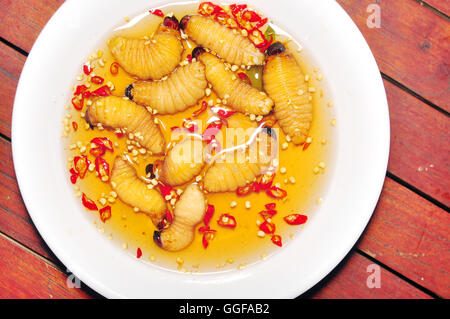 Larve de charançon rouge des palmiers de noix de coco ou un ver ou Duong dua ou ver de sagou (Rhynchophorus ferrugineus) du Vietnam Banque D'Images