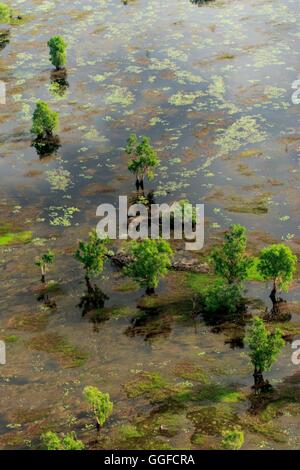 Une vue aérienne des zones humides du Parc National de Kakadu, Territoire du Nord, Australie. Banque D'Images