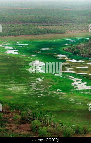 Une vue aérienne des zones humides du Parc National de Kakadu, Territoire du Nord, Australie. Banque D'Images