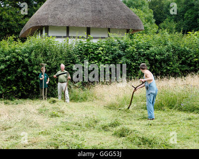 Une démonstration de l'utilisation de l'anglais la faux à faucher l'herbe de prairie à Weald & Downland Museum. Banque D'Images