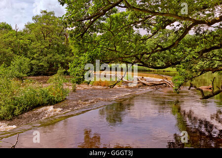 Le Horseshoe Falls à Llangollen, Denbighshire, Wales Banque D'Images