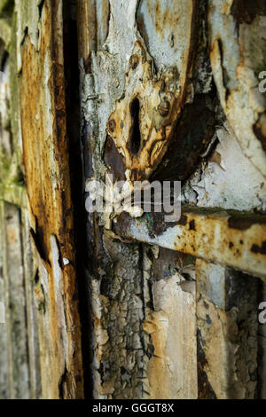 Rusty vieille porte en fer forgé détail, Close up, résumé, Banque D'Images