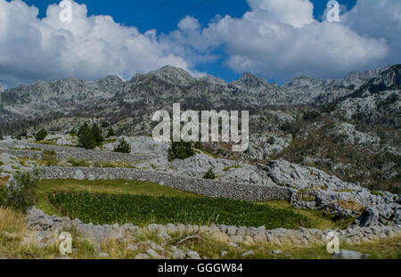 Mur de pierres sur la colline Banque D'Images