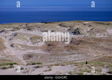 Randonneur marchant dans la côte de sable de Parnidis dune de sable dans le centre administratif de la municipalité de Neringa situé sur l'isthme de Courlande a 98 km de long, mince, de dunes de sable - spit qui sépare la Lagune de Courlande à partir de la côte de la mer Baltique en Lituanie Banque D'Images