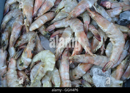 Gambas à la vente sur le marché aux poissons, l'Indonésie. Gambas est un nom commun, utilisé notamment dans le Royaume-Uni, l'Irlande, et com Banque D'Images