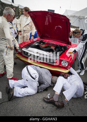 Mécaniciens travaillant sur une Ford Mustang, Goodwood Revival 2014, course Sport, voiture de collection, Goodwood, Chichester, Sussex, Angleterre, Gr Banque D'Images