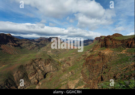 Barranco de Fataga, canyon, gorge près de Fataga, municipalité de San Bartolomé de Tirajana, Gran Canaria, Îles Canaries, Espagne, E Banque D'Images