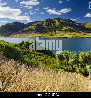 Pic Sentinel, le lac Hawea, Otago, île du Sud, Nouvelle-Zélande Banque D'Images