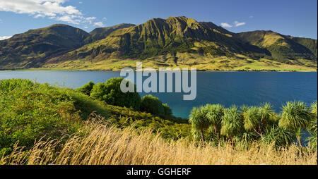 Pic Sentinel, le lac Hawea, Otago, île du Sud, Nouvelle-Zélande Banque D'Images