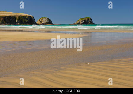 Plage de sable à Tautuku Bay, Otago, île du Sud, Nouvelle-Zélande Banque D'Images