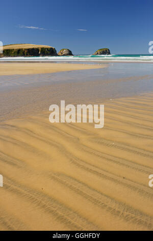 Plage de sable à Tautuku Bay, Otago, île du Sud, Nouvelle-Zélande Banque D'Images