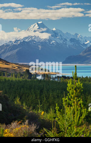 Le Lac Pukaki,, l'Aoraki Mount Cook National park, Canterbury, île du Sud, Nouvelle-Zélande Banque D'Images