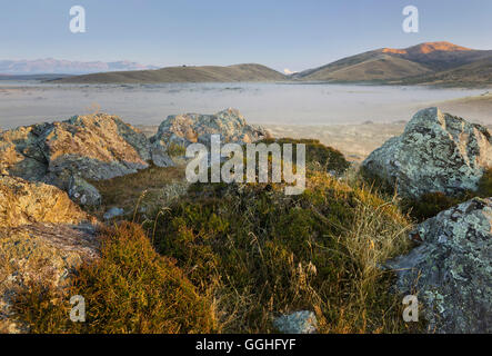 Le lever du soleil sur un pré, rochers, Otago, Otago, île du Sud, Nouvelle-Zélande Banque D'Images