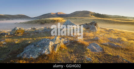 Le lever du soleil sur un pré, rochers, Otago, île du Sud, Nouvelle-Zélande Banque D'Images