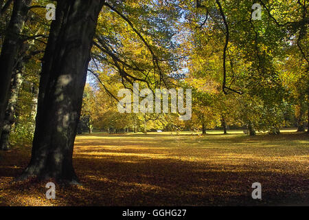 Couleurs d'automne / Herbstfarben Atkinson dans Bremen-St, Parc. Magnus, Allemagne Banque D'Images