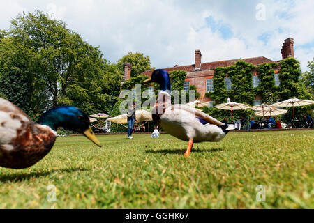 Pashley Manor Gardens, Ticehurst, East Sussex, Angleterre, Grande-Bretagne Banque D'Images