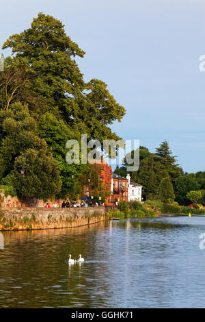 Quay le long de la rivière Exe, Exeter, Devon, Angleterre, Grande-Bretagne Banque D'Images