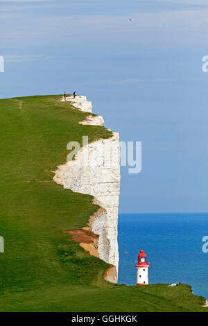 Falaises de craie, Beachy Head, Eastbourne, East Sussex, Angleterre, Grande-Bretagne Banque D'Images