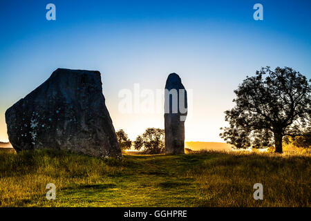 Pierres Sarsen au lever du soleil à Avebury, dans le Wiltshire. Banque D'Images