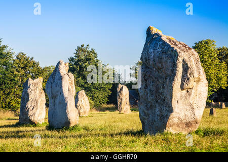 Pierres Sarsen au lever du soleil à Avebury, dans le Wiltshire. Banque D'Images