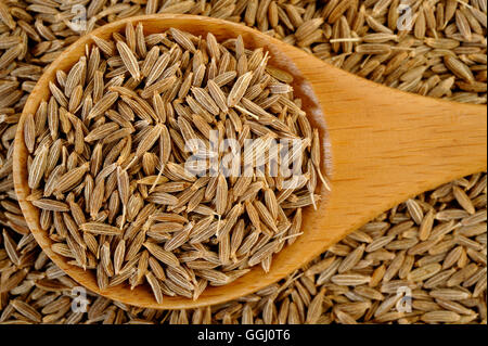 Les graines de cumin dans la cuillère en bois Banque D'Images