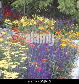 Chelsea Flower Show 2004 -- Partie de 'jardin' vie deisigned by Jane Hudson et Erik De Maeijer pour Cancer Research UK.- - (Silve Banque D'Images