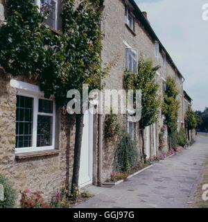 Abricot - 'Moorpark' sur les maisons du village de Aynhoe (Prunus armeniaca) FRU015578 Photos Ho Banque D'Images