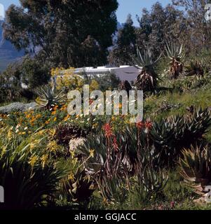 Ramskop Wild Flower Garden - Clanwilliam Afrique du GDN087030 /Photosho Banque D'Images