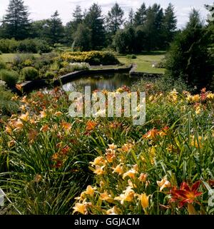 Jardin botanique de Tallinn - Estonie DGN088059 Banque D'Images