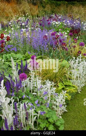 La plantation des prairies- avec Stachys Salvia géraniums Iris Allium Nepeta- et graminées ornementales- - (photos : Photos Horti Banque D'Images