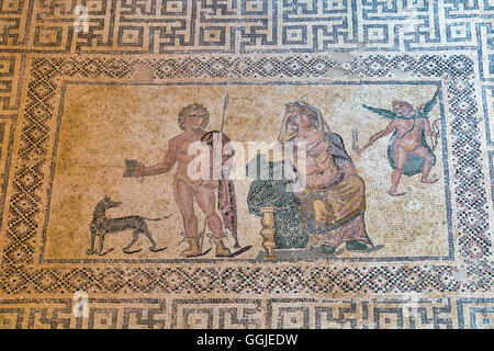Le grec ancien marbre mosaïque dans le parc archéologique de Kato Paphos, Chypre. UNESCO World Heritage Site. Banque D'Images
