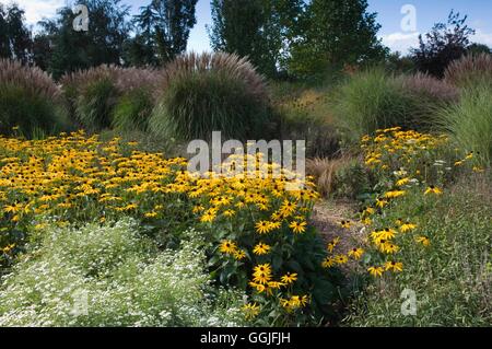 Jardin d'automne --- style plantation des Prairies - (photos : Photos Hort/Ryton Organic dgn) SMI251994 Cred Obligatoire Banque D'Images