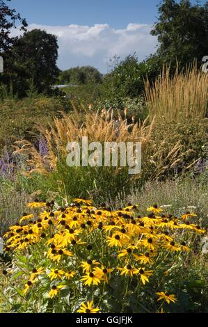 Jardin d'automne --- style plantation des Prairies - (photos : Photos Hort/Ryton Organic dgn) SMI251995 Cred Obligatoire Banque D'Images