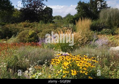 Jardin d'automne --- style plantation des Prairies - (photos : Photos Hort/Ryton Organic dgn) SMI251996 Cred Obligatoire Banque D'Images