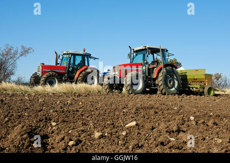 Tracteur agricole semant des graines et cultiver domaine Banque D'Images