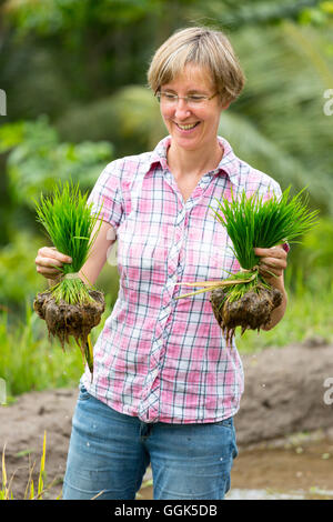 Les femmes allemandes avec des plants de riz, riz, riz, paddyfield, la plantation, la culture du riz, le contact avec les populations locales, je Banque D'Images