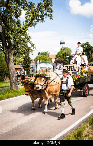 Panier à boeufs, défilé d'un groupe traditionnel bavarois, Muensing, Haute-Bavière, Allemagne Banque D'Images