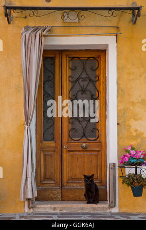 Chat noir dans l'embrasure, Burano, près de Venise, Vénétie, Italie, Europe Banque D'Images