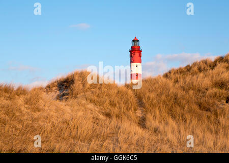 Amrum Leuchtturm derrière les dunes de sable sur une journée d'hiver ensoleillée, Amrum island, Schleswig-Holstein, Allemagne, Europe Banque D'Images