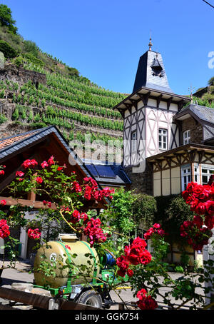 Mayschoss dans la vallée de l'Ahr, Eifel, Rhénanie-Palatinat, Allemagne Banque D'Images