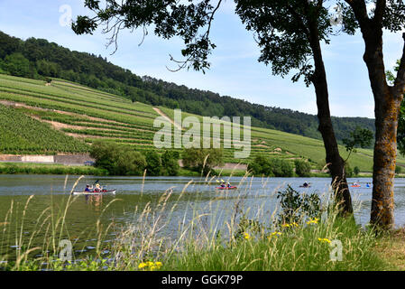 Paysage près de Ockfen sur la Moselle, Hunsruck, Rhénanie-Palatinat, Allemagne Banque D'Images