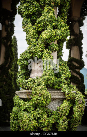 Plante grimpante sur le pilier de la Villa del Balbianello, Lezzeno, Lac de Côme, Lombardie, Italie, Europe Banque D'Images