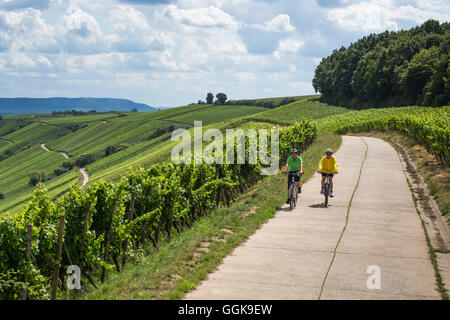 Les cyclistes sur un chemin à travers Escherndorfer Fuerstenberg vignoble, près de Keohler, Franconia, Bavaria, Germany Banque D'Images