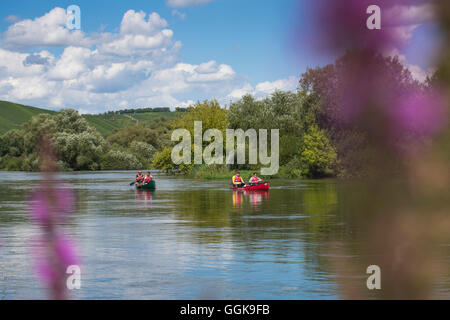 Les personnes bénéficiant d'une excursion en canot sur la Mainschleife de la rivière principale, près de Escherndorf, Franconia, Bavaria, Germany Banque D'Images