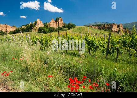 Paysage près de Loro Ciuffenna, Province d'Arezzo, Toscane, Italie Banque D'Images
