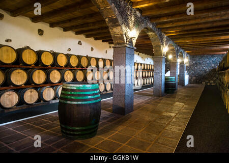 Bodegas Rubicon, région du vin La Geria, Lanzarote, îles Canaries, Espagne Banque D'Images