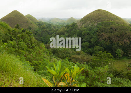 Collines de chocolat, île de Bohol, Philippines, Asie, Visayas-Islands Banque D'Images