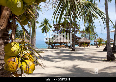 Tropical Beach sur l'île de cauris à Honda Bay près de Puerto Princesa, l'île de Palawan, Philippines, Asie Banque D'Images