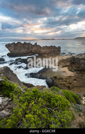 Paysage côtier, Brenton-sur-Mer, Océan Indien, Knysna, Western Cape, Afrique du Sud Banque D'Images